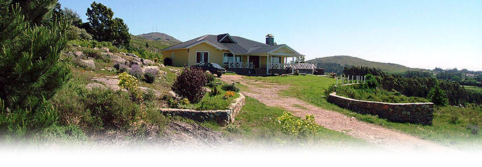 exterior01.jpg (72131 bytes)